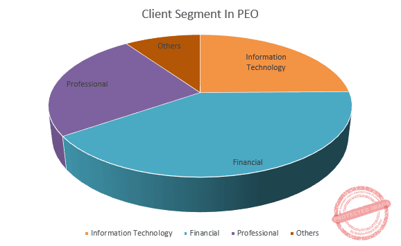 Client Segment In PEO