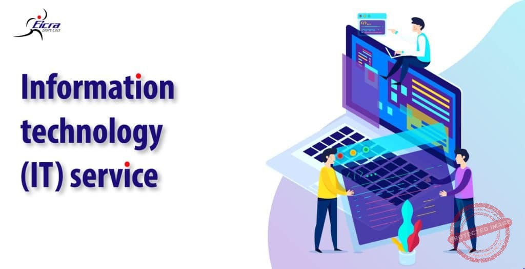 Information technology (IT) service Business with Expert